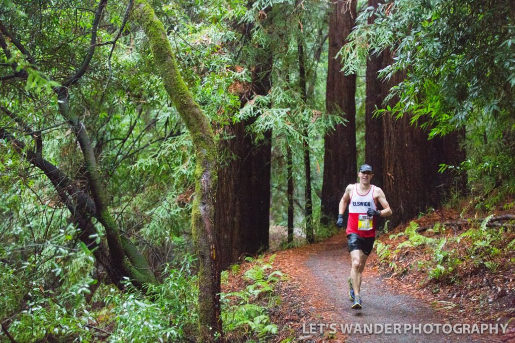 The author tackles the redwoods, Woodside Ramble, December 2015